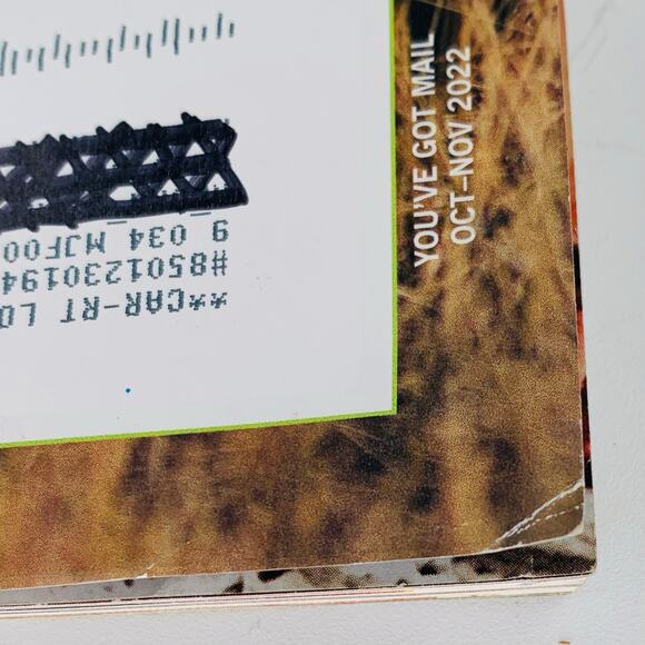 Mary Janes Farm Magazine Lot of 3 June - November 2022 Courage Dream Sunbeams - Picture 4 of 9